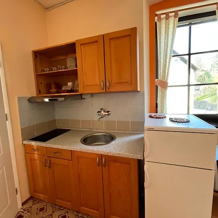 Apartma Na Starem Placu 公寓