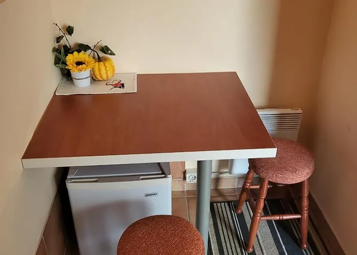 公寓 Apartma Na Starem Placu *